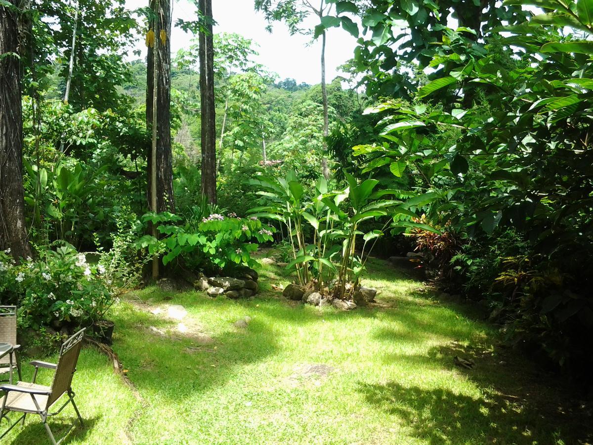 Osa De Rio Uvita Exterior photo